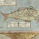 Illustration for article titled Centuries-Old Drawings of Europes Greatest Sea Monsters